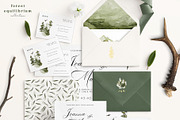 Forest Equilibrium Collection, an Animal Illustration by Julia Dreams (Thumbnail 2 of 8)