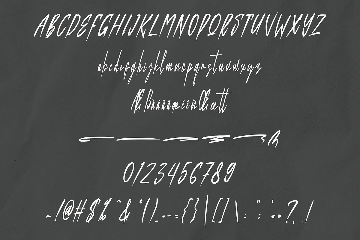 Metalova Elegant Script Font, a Script Font by NTC Graphic (Photo 8 of 9)