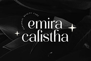 Banfishery Classic Serif Font, a Serif Font by UICreative (Thumbnail 4 of 14)