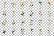Watercolor Delicate Wildflower Clipa, an Illustration by DreamCafeArt (Thumbnail 3 of 7)