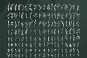 170 Wildflowers Line Art Botanicals, an Illustration by LifestyleCraftCo (Thumbnail 3 of 7)