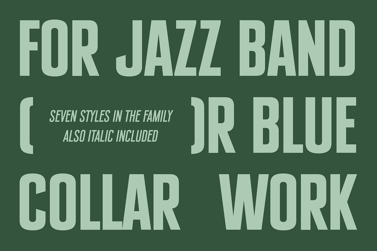 SFC Signsmith Variable Font, a Sans Serif Font by Skilline Supply Co. (Photo 2 of 21)