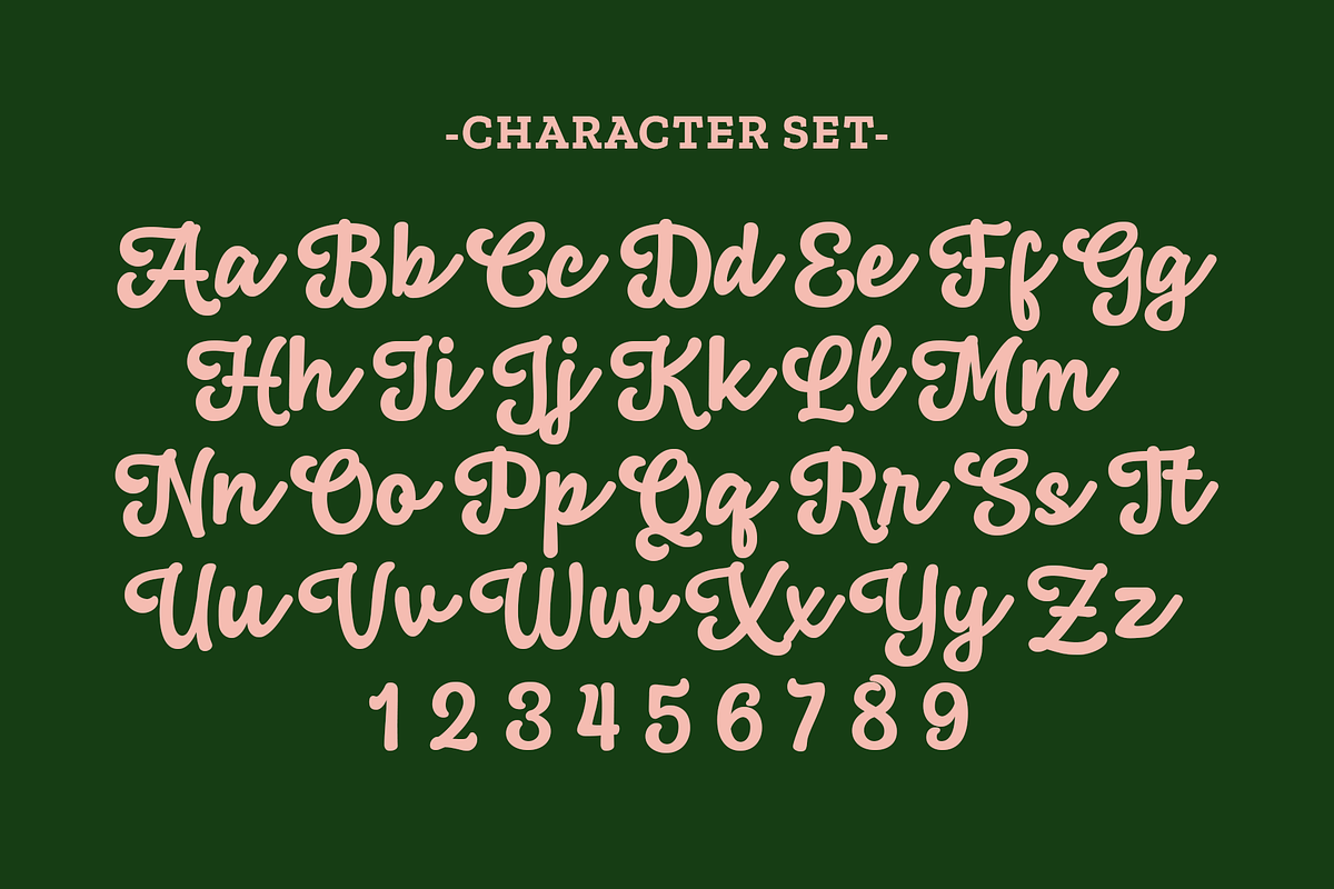 Xerochasy - a Bold Script Font, a Script Font by Ali Hamidi (Photo 8 of 9)
