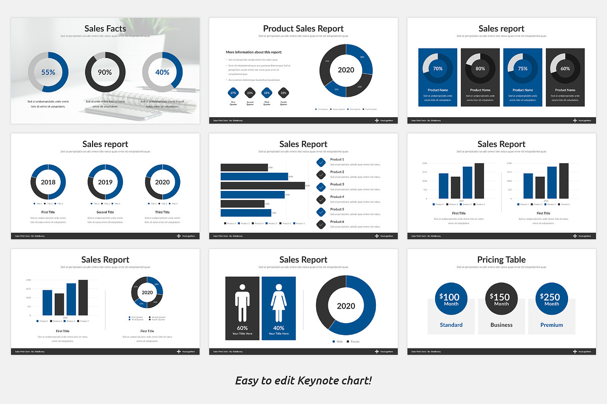 Best Sales Pitch Deck Keynote, a Presentation Template by SlideBunny (Photo 12 of 22)