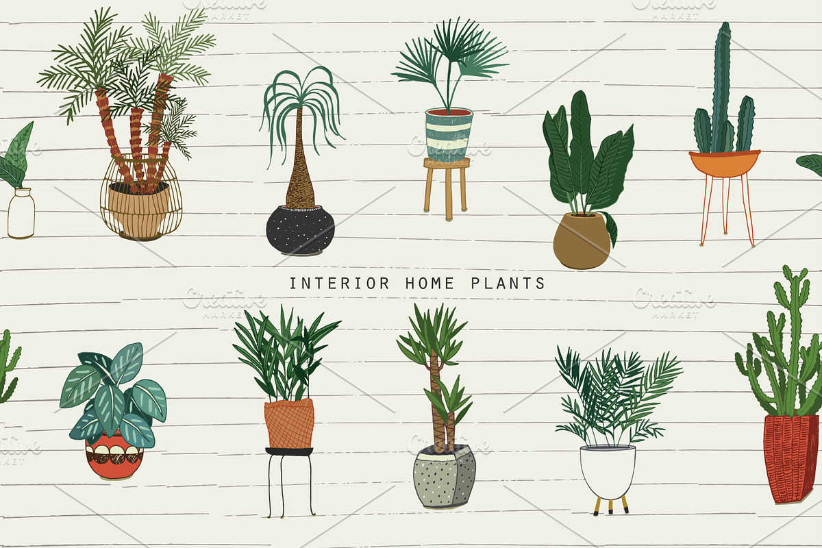 Interior Home Plants, a Pattern Graphic by GooseFrol (Photo 1 of 7)