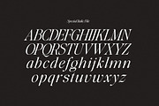 Glisstory, a Serif Font by Pista Mova (Thumbnail 17 of 20)