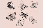 Butterflies and Bugs Procreate Stamp, a Brush Add-On by BohoCalligraphy (Thumbnail 3 of 3)