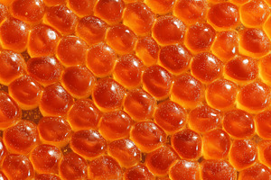 Salmon roe texture, a Food & Drink Photo by Mockup Bureau