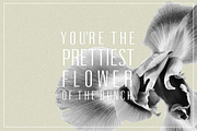 Oleander | Sans-Serif + 10 Cutouts, a Sans Serif Font by Karissa Macapagal (Thumbnail 3 of 10)