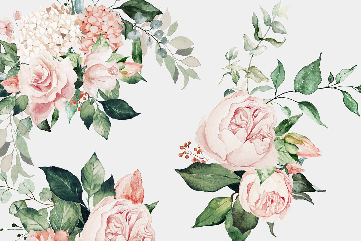 Clair & Blush - Summer Floral Set, an Illustration by studioequinox (Photo 5 of 14)