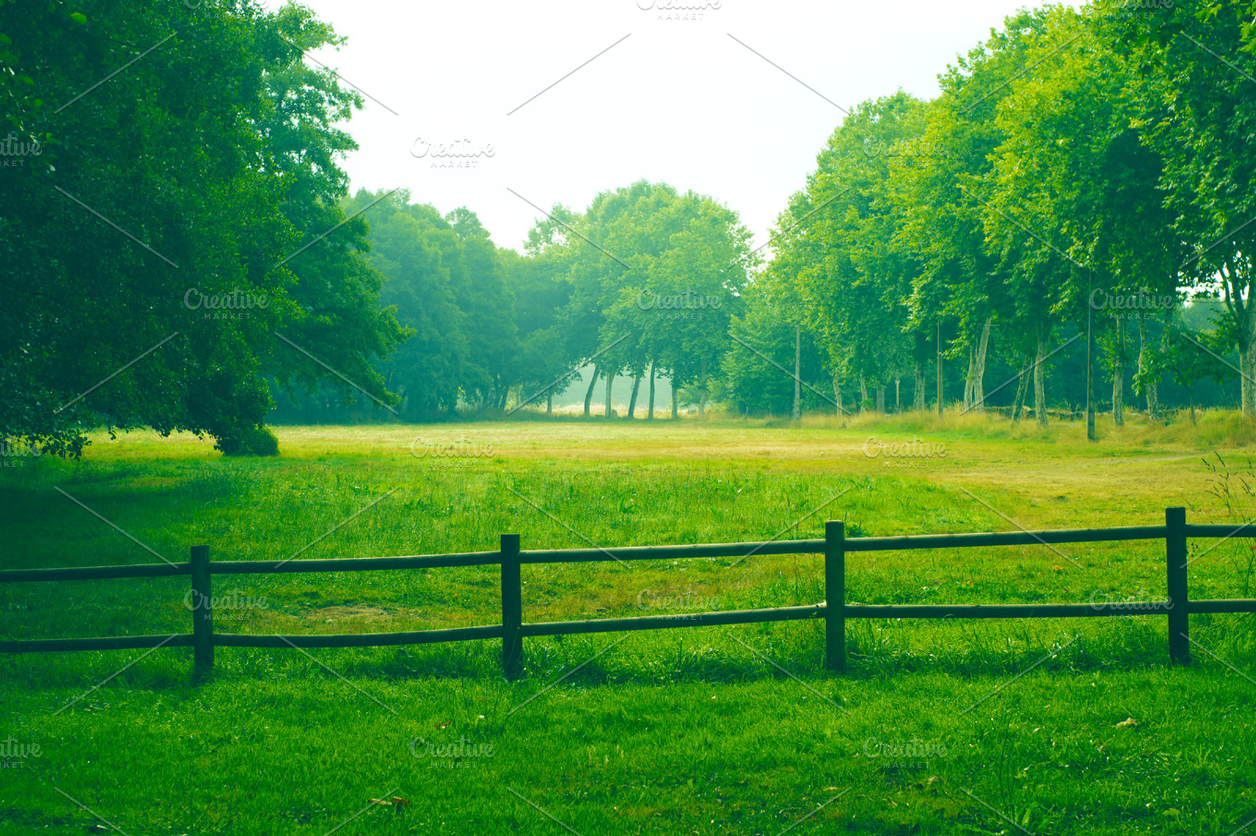 Farm Fence