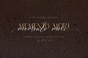 English Channel. Duo Font., a Serif Font by Red Ink (Thumbnail 9 of 15)