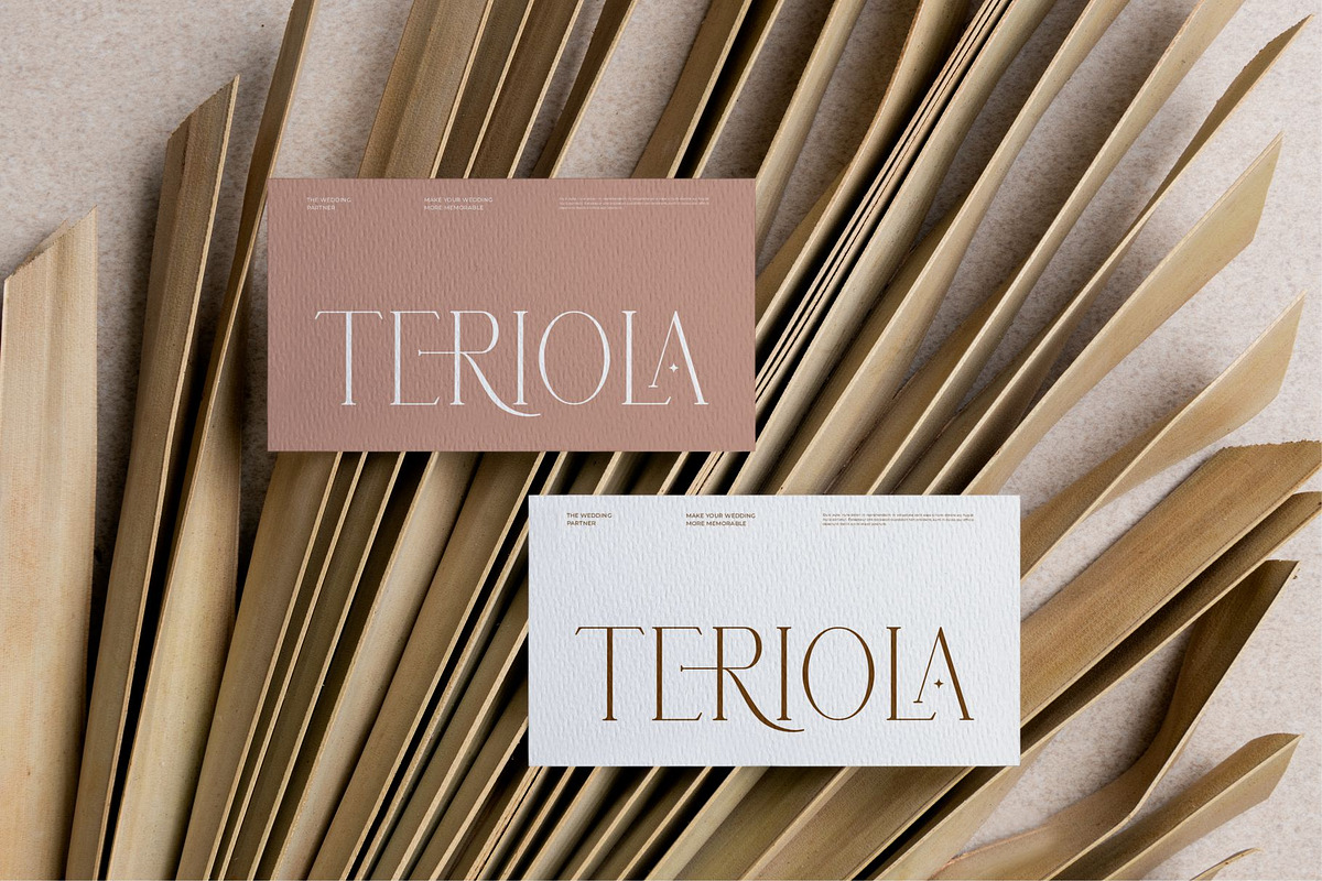 Merolat || Modern Minimalist Serif, a Serif Font by Ermedia Studio (Photo 8 of 8)
