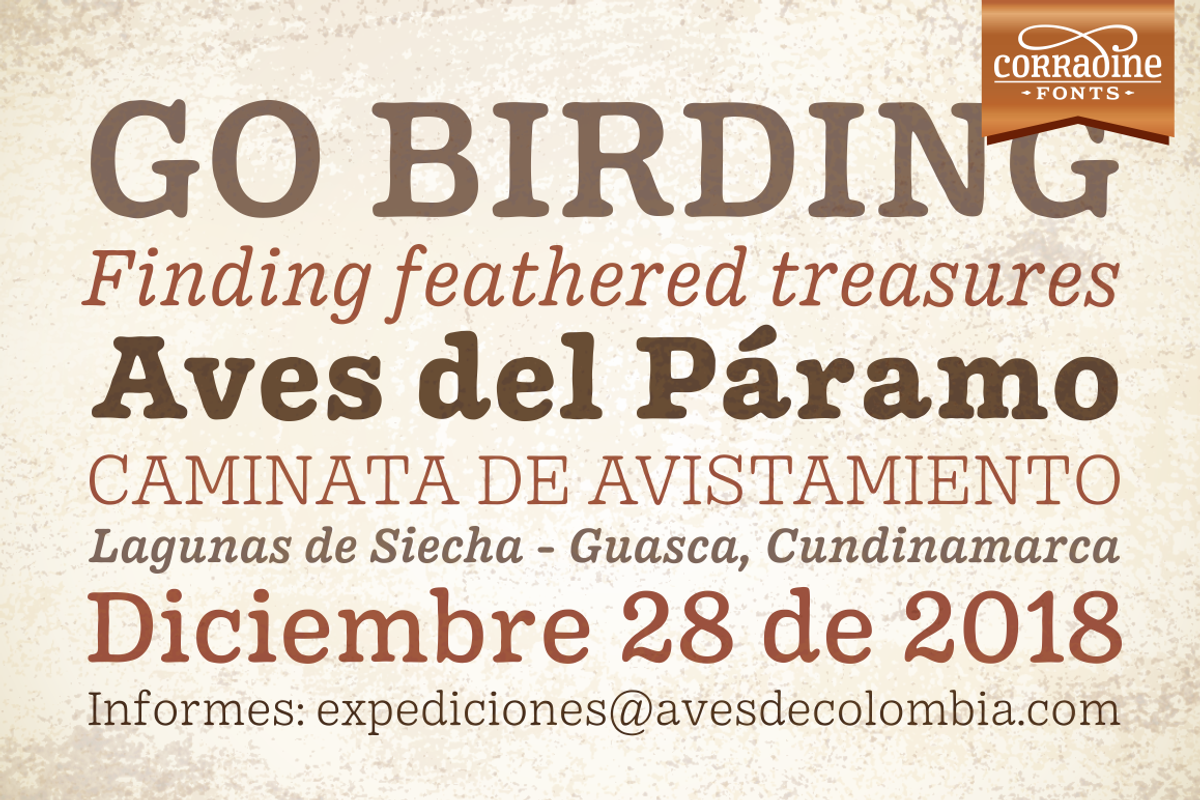 Pueblito font family preview 7