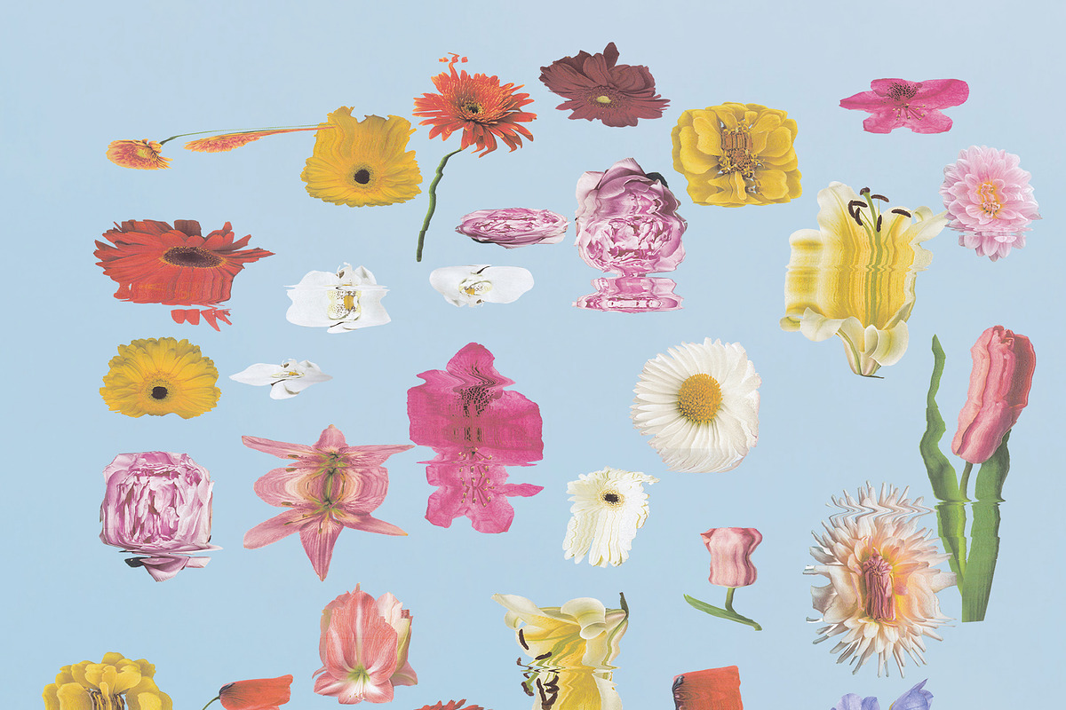 Psychedelic Indie Floral Collage, an Object Graphic by ana & yvy (Photo 14 of 16)