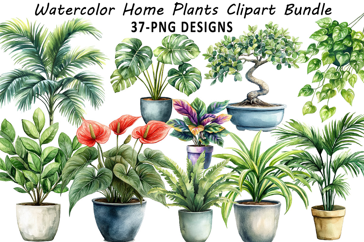 Watercolor Home Plants Clipart, an Illustration by Daily.Designs (Photo 1 of 8)