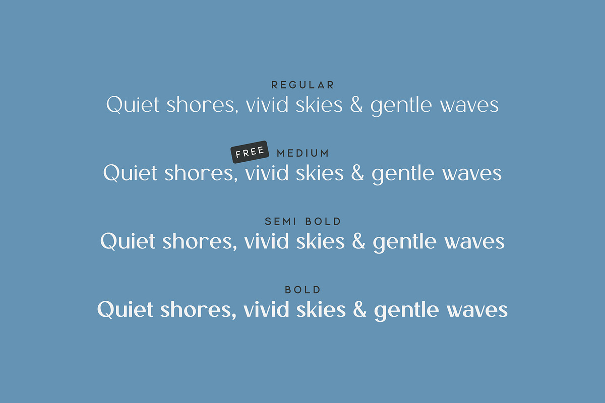 Tiree - An Elegant Sans Serif, a Sans Serif Font by Thistle Type (Photo 2 of 9)