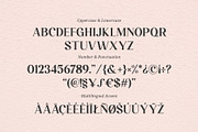 Larissa - Ligature Typeface, a Serif Font by Graphicxell (Thumbnail 6 of 10)