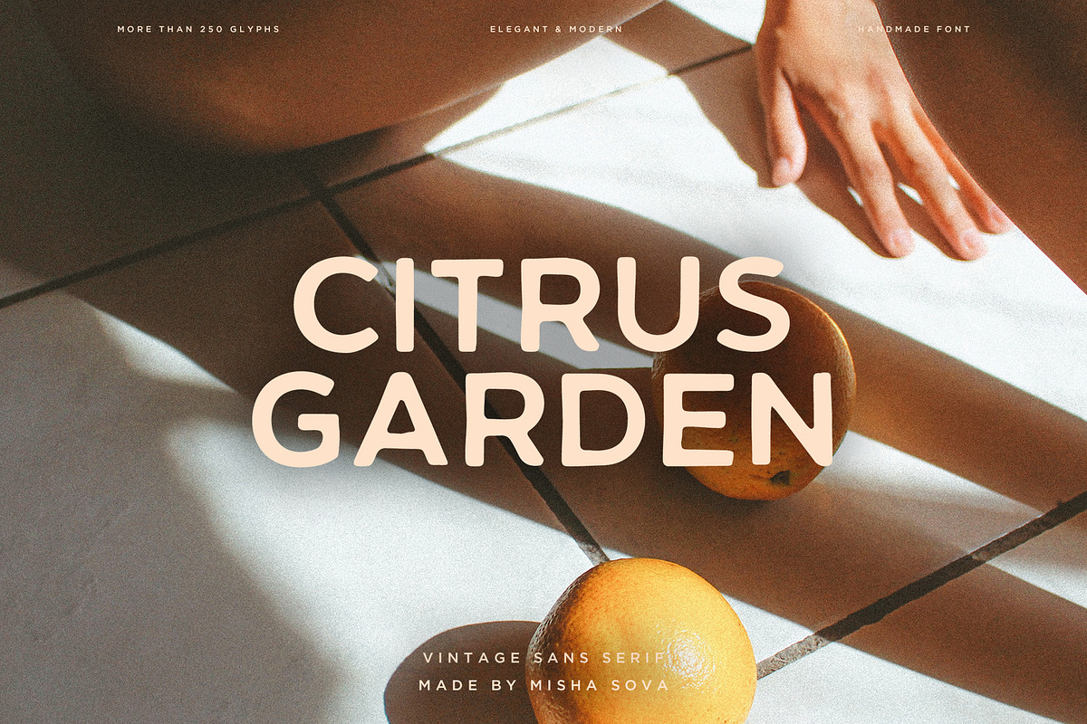 CITRUS GARDEN - vintage sans serif, a Sans Serif Font by Misha Sova (Photo 1 of 11)