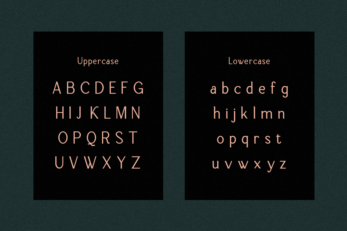 Roseware - Modern Stylish, a Serif Font by RockboyStd (Photo 8 of 12)