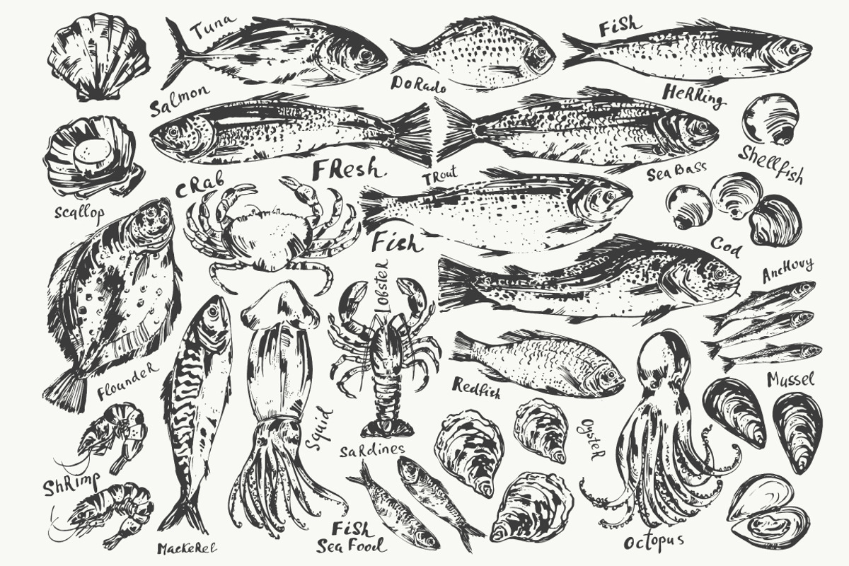 Fish and seafood sketches, a Food Illustration by katya.bogina (Photo 3 of 3)