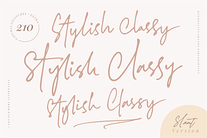 SALE! Stylish Classy (2 Fonts)