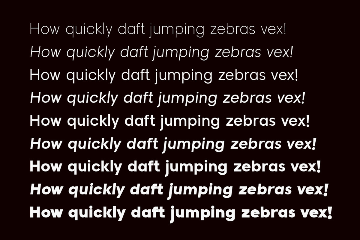 Raela Pro | Geometric Sans Family, a Sans Serif Font by Lettertype Studio (Photo 3 of 10)