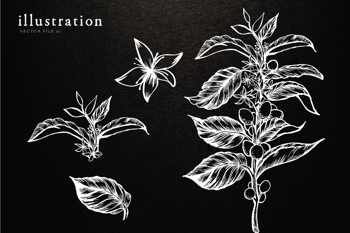 Coffee Illustration, an Illustration by Elysamunster (Photo 5 of 7)