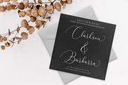 Argentina Script, a Script Font by Megatype (Thumbnail 3 of 10)