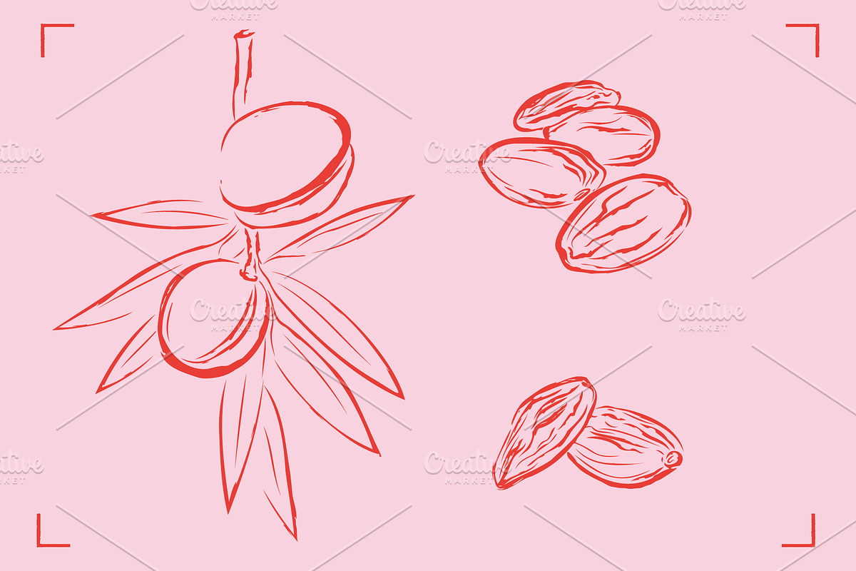 ALMOND LINE ART SET (14+ elements), a Food Illustration by Bonfloret Studio (Photo 7 of 8)