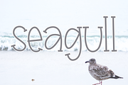 Seagull - A Handwritten Font, a Serif Font by KA Designs (Thumbnail 7 of 8)