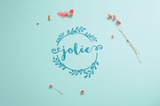 Allure Feminine logo pack, a Branding & Logo Template by Nues Design (Thumbnail 14 of 17)