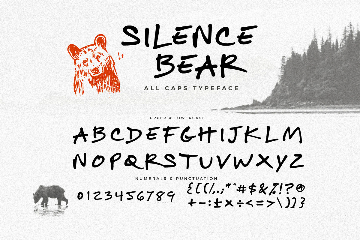 Silence Bear Font, a Font by BodigStd (Photo 9 of 9)