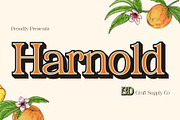Harnold 3D, a Serif Font by Craft Supply Co. (Thumbnail 1 of 8)