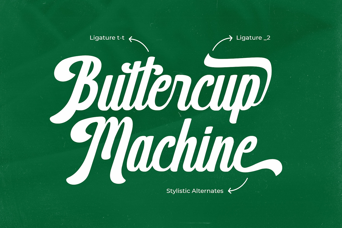 MN Calliston - Vintage Script Font, a Script Font by Mantra Naga (Photo 4 of 12)