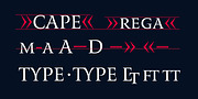 Romis, a Serif Font by Finaltype (Thumbnail 10 of 22)