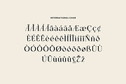 Monumental Modern Display Serif Font, a Serif Font by UICreative (Thumbnail 10 of 13)