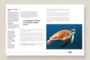 Magazine Template 08, a Magazine Template by pmvch (Thumbnail 12 of 12)
