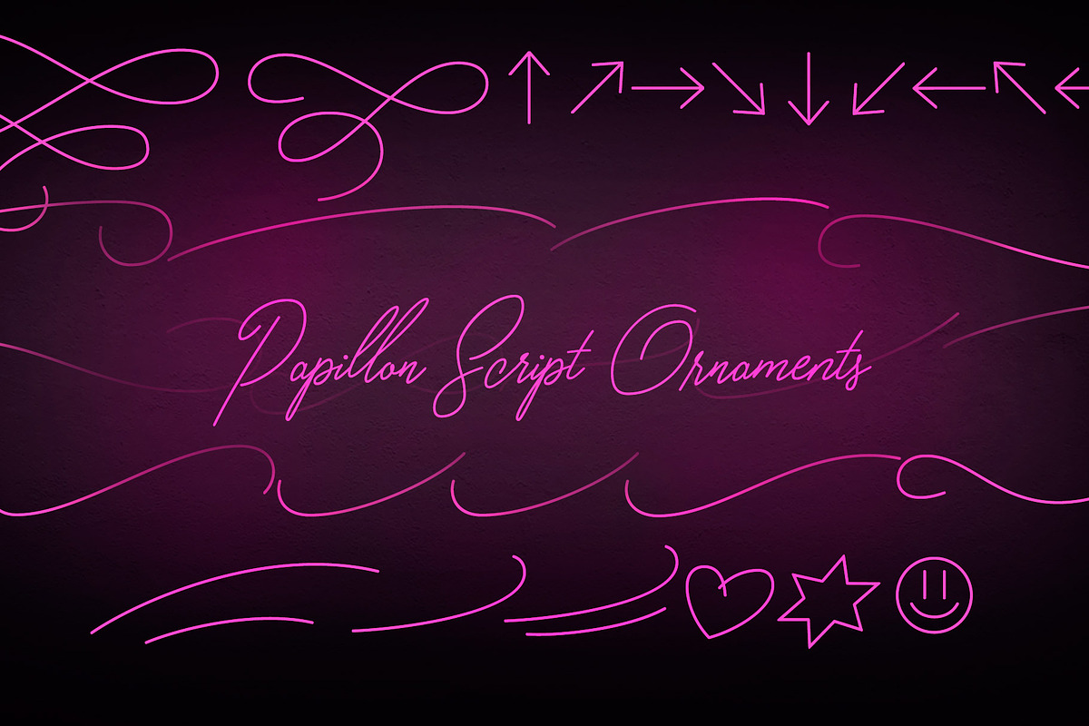 Papillon Signature Style Script preview 7
