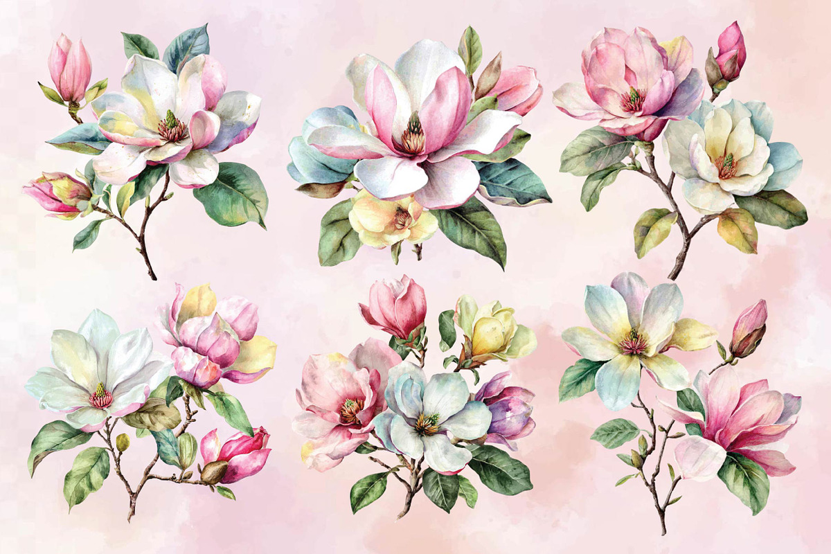 Watercolor Magnolia Flower Clipart B, an Illustration by SVGArt (Photo 5 of 9)