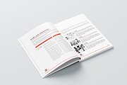 White Paper 16 pages, a Brochure Template by obayes (Thumbnail 9 of 14)