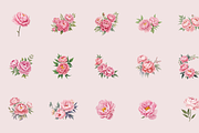 72 Watercolor Peonies Flower Clipart, a Graphic by Graphicspixel (Thumbnail 2 of 10)
