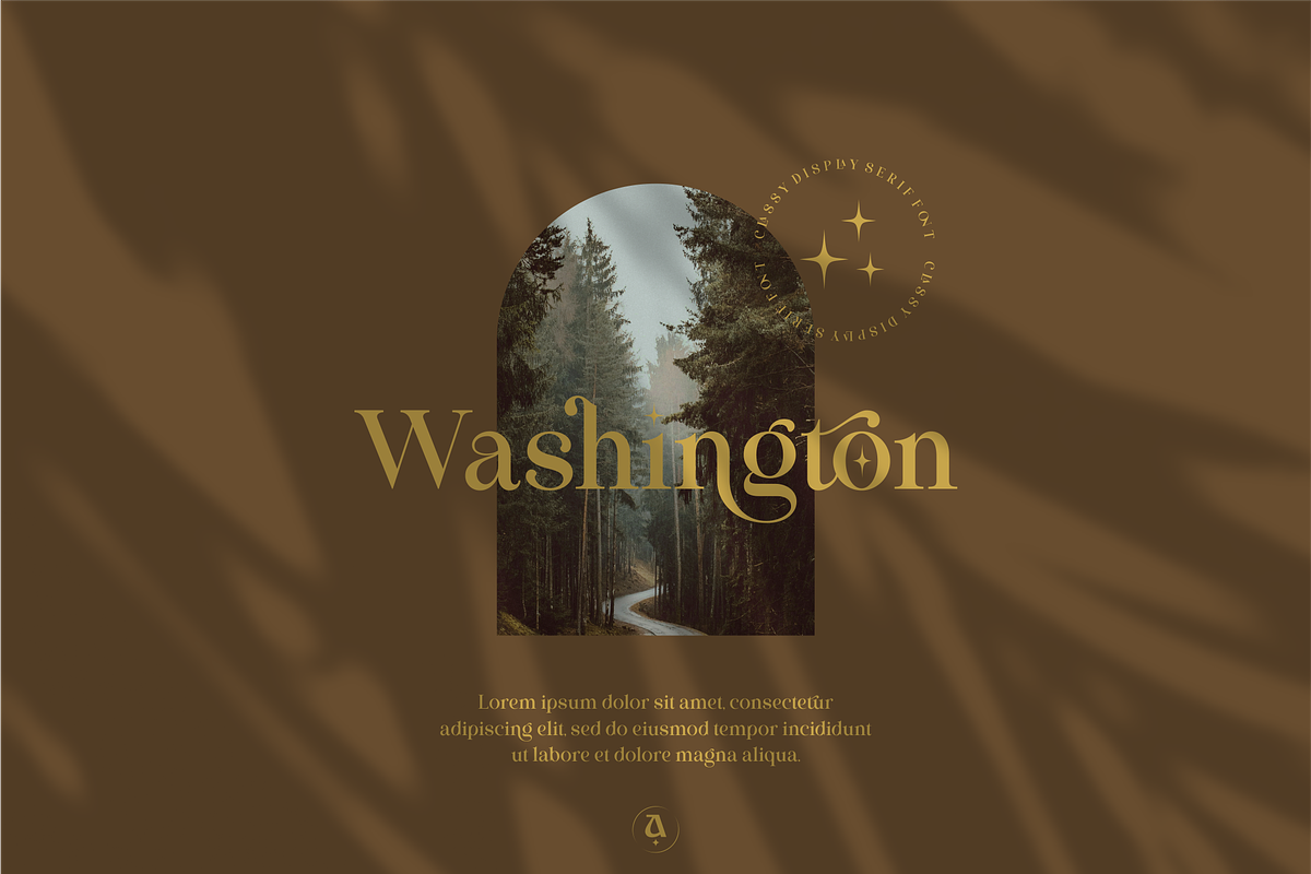 Abigail Nagita - Display Serif Font, a Serif Font by Artchitype Studio (Photo 2 of 16)