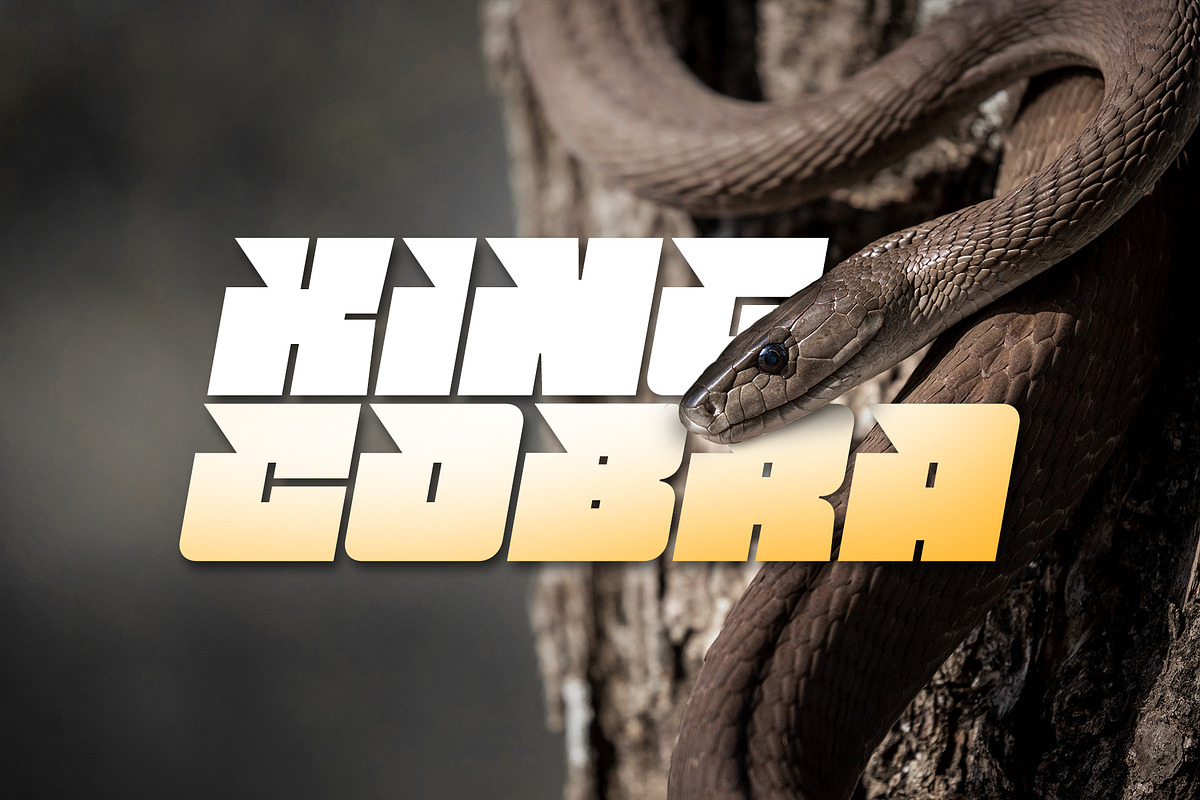 Barle Alt, a Sans Serif Font by Locomotype (Photo 3 of 10)