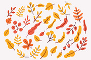 Autumn leaves and plants flat set, an Object Graphic by Vector_Art (Thumbnail 5 of 7)
