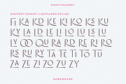 Rosewater (Variable), a Sans Serif Font by Rain Foundry (Thumbnail 9 of 10)
