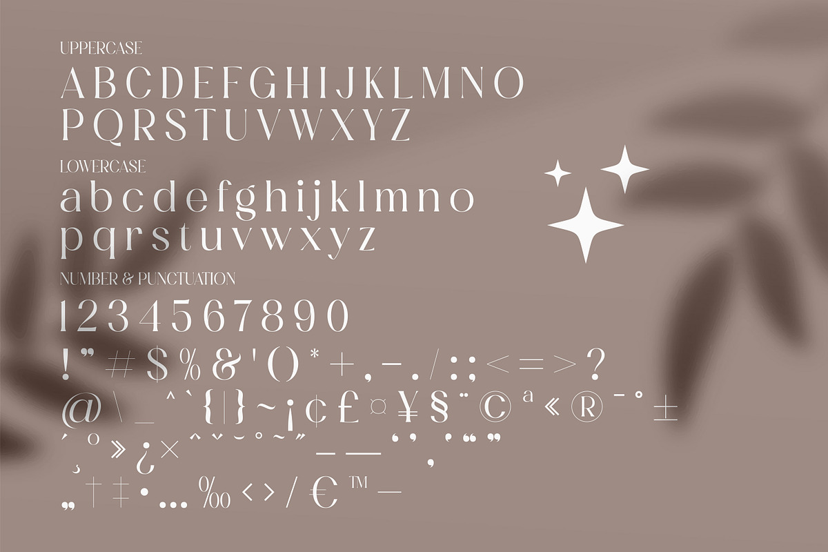 Masvis Minimalist Serif Font, a Serif Font by Storytype Studio (Photo 6 of 8)