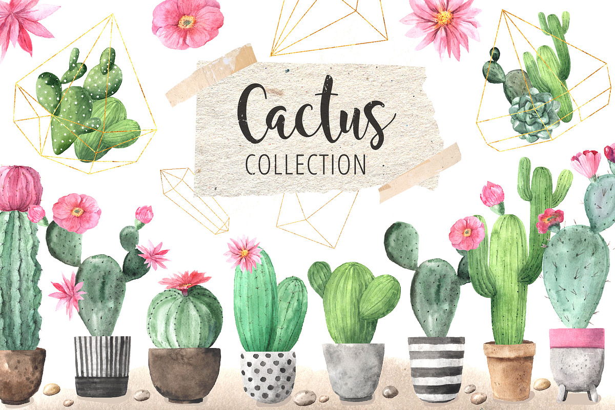 Watercolor Exotic Cactus Collection, a Texture Illustration by LarysaZabrotskaya (Photo 1 of 11)