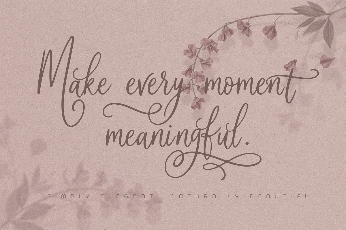 Soila Yadelle Elegant Curves Script, a Script Font by HypeWorksCo (Photo 7 of 15)