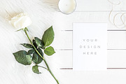 Green & White Mockups Bundle + Bonus, a Product Mockup by Salt Color Studio (Thumbnail 9 of 13)